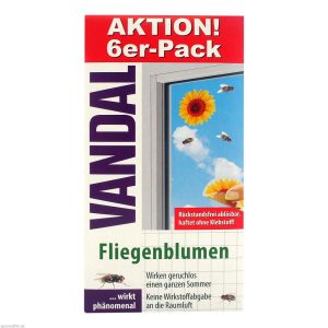 Vandal Fenster Fliegenblume 6 Stk.