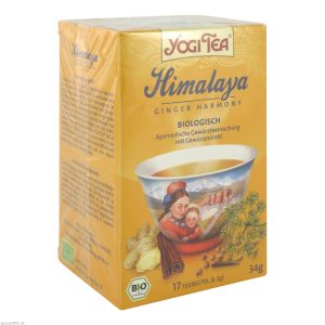 Yogi Tee Himalaya