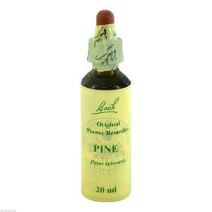 Gall Pharma Bachblüten 24 Pine 20 ml