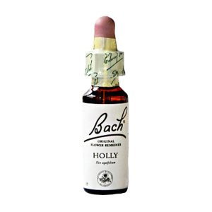 Bachblüte Holly 15 20 ml