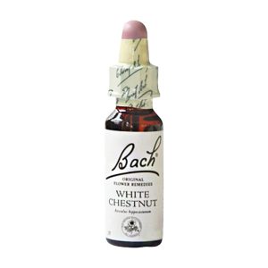 Gall Pharma BACHBLÜTEN 35 White Chestnut
