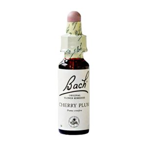 Gall Pharma BACHBLÜTEN 06 Cherry Plum