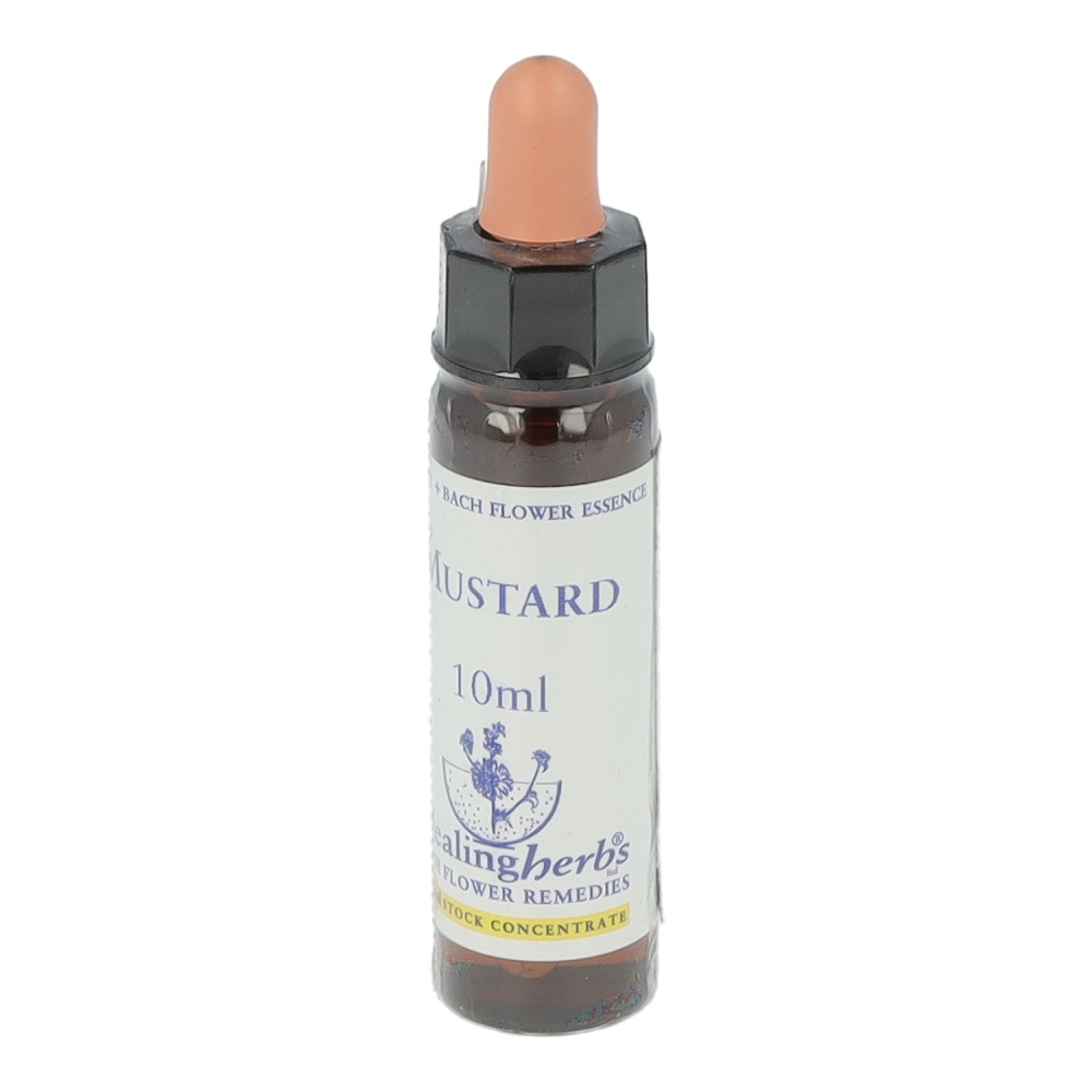 Healing Herbs Bachblüten Mustard Tropfen 10 ml