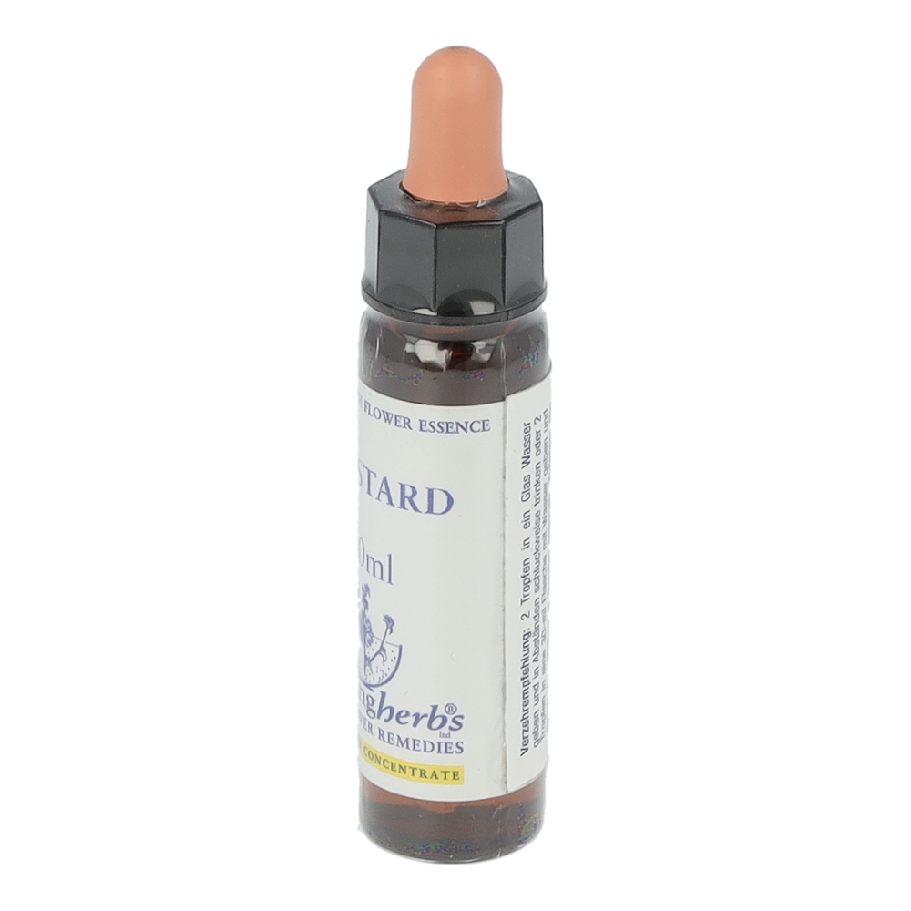 Healing Herbs Bachblüten Mustard Tropfen 10 ml