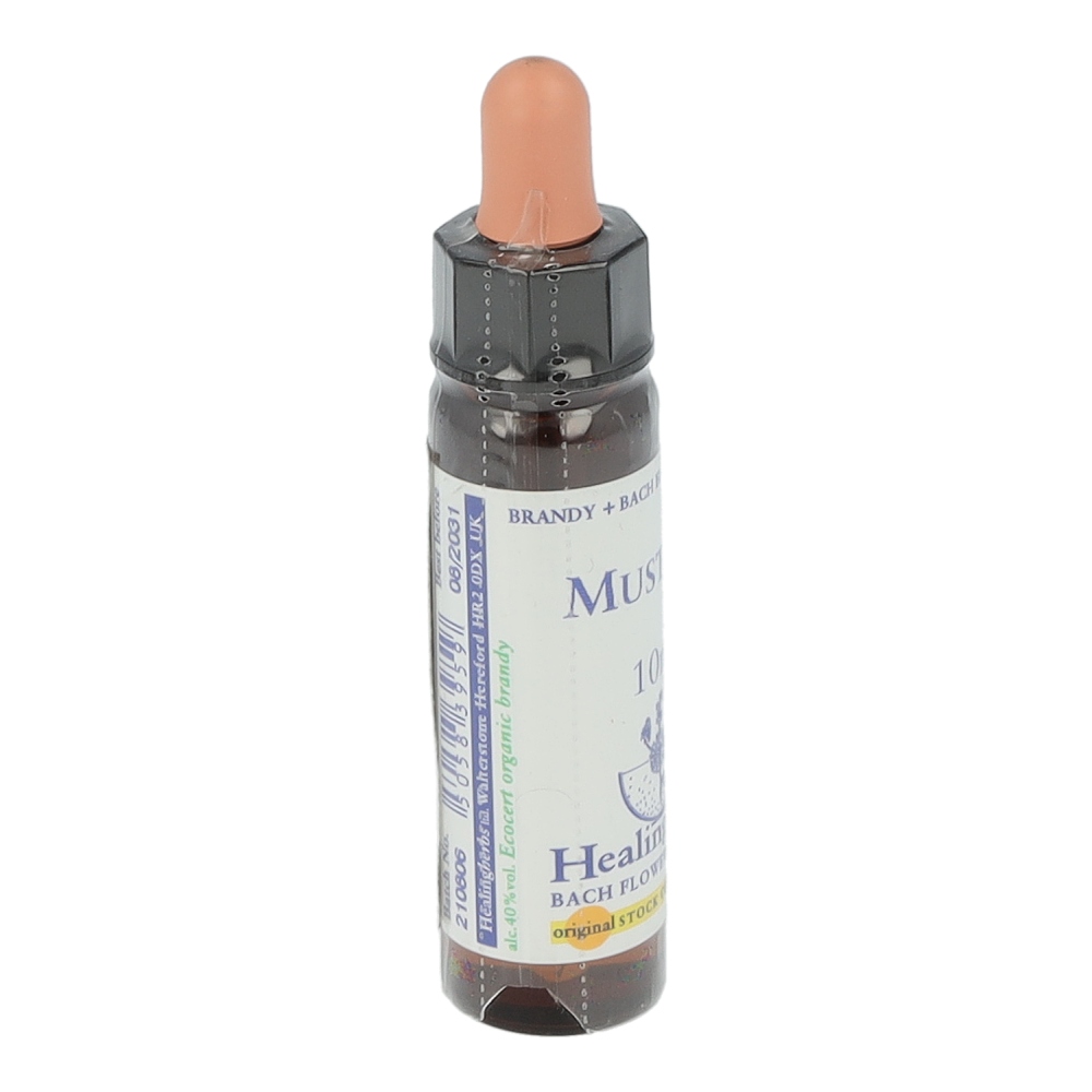Healing Herbs Bachblüten Mustard Tropfen 10 ml