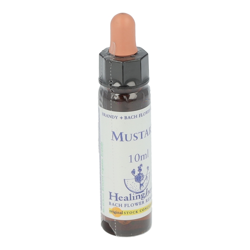 Healing Herbs Bachblüten Mustard Tropfen 10 ml