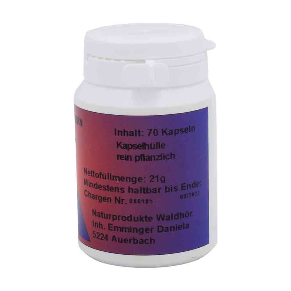 Waldhör Grapefruit Kern Kapseln 70 Stk.
