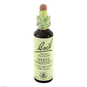 Apopharm Bachblüten 35 White Chestnut 20 ml