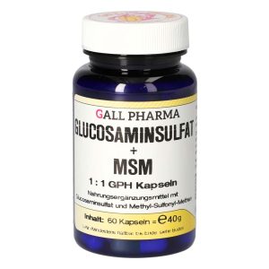 Gall Pharma Glucosaminsulfat + MSM 1:1 Kapseln 60 Stk.
