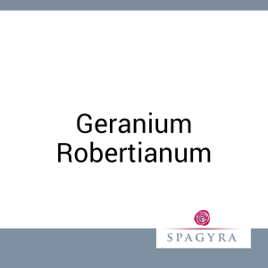 Geranium Robertianum Spagyra Urtinktur 10 ml