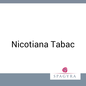 Nicotiana Tabac Spagyra 2 ml C 200 Globuli