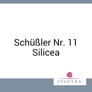 Schüßler Nr. 11 Silicea Spagyra 20 ml D 12 Globuli