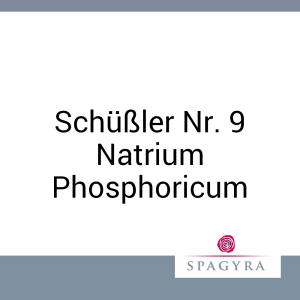 Schüßler Nr. 9 Natrium Phosphoricum Spagyra 20 ml D 6 Globuli