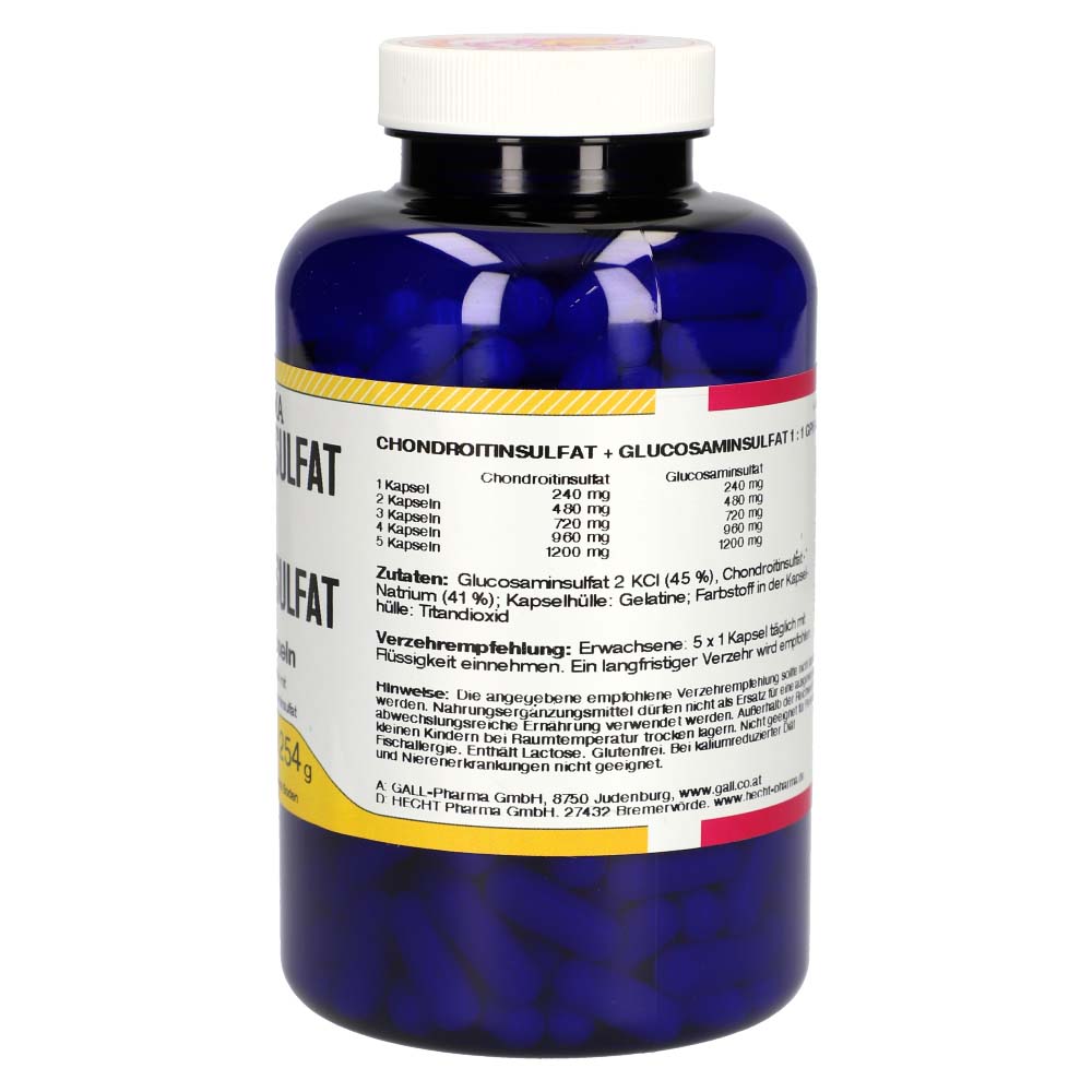 Gall Pharma Chondroitin plus Glucosamin Kapseln 1:1 360 Stk.