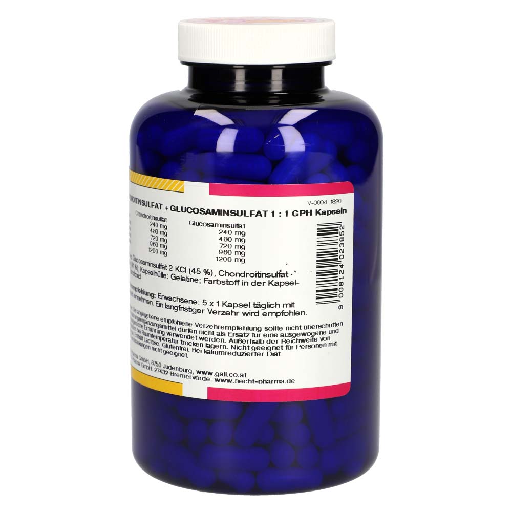 Gall Pharma Chondroitin plus Glucosamin Kapseln 1:1 360 Stk.