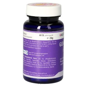 Gedächtnis – Fit Kapseln