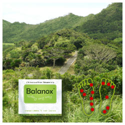 Balanox Reflexzonen-Strips Entgiftung Reisepackung