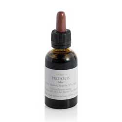 Biobee Propolis Tinktur 30 % 30 ml