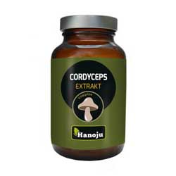 Cordyceps Extrakt Tabletten 40mg Han 90 Stk.