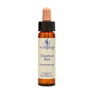 Adler Bachblüten Chestnut Bud Tropfen 10 ml