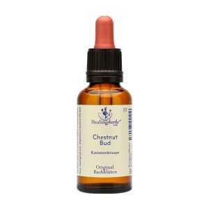 Adler Bachblüten Chestnut Bud Tropfen 30 ml