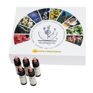 Adler Bachblüten Set mit 40 Flaschen (10 ml) im Karton 1 Pkg.