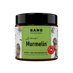 Arlberger Murmelin Sport- und Gelenkssalbe 100 ml