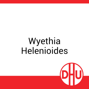 Wyethia Helenioides DHU 8 g D 30