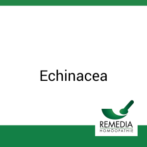 Echinacea Remedia 10 ml
