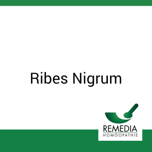 Ribes Nigrum Remedia  Urtinktur 20 ml