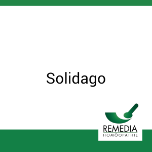 Solidago Remedia 20 ml Urtinktur
