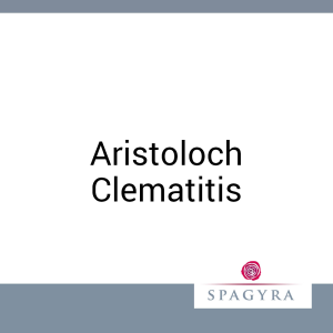 Aristoloch Clematitis Spagyra D 12 Salbe 50 ml