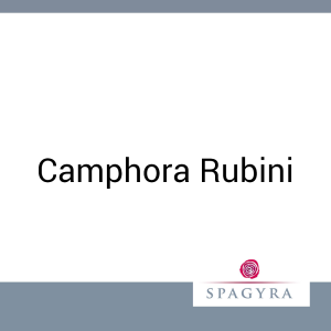 Camphora Rubini Spagyra 20 ml D 1 Dilution