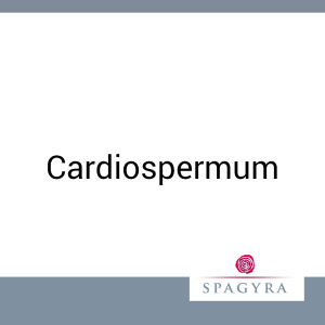 Cardiospermum Spagyra 10 ml Urtinktur