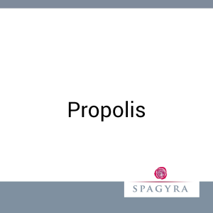 Propolis Spagyra 10 ml D 1 Urtinktur