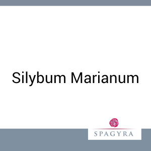Silybum Marianum Spagyra 20 ml Urtinktur