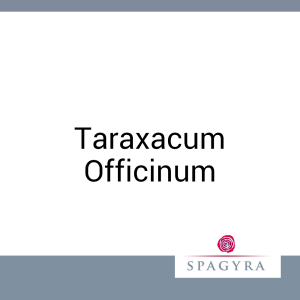 Taraxacum Officinum Spagyra 10 ml Urtinktur