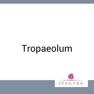 Tropaeolum Spagyra Urtinktur 20 ml