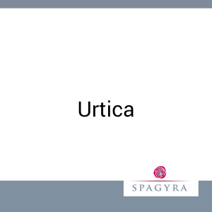 Urtica Spagyra 20 ml Urtinktur