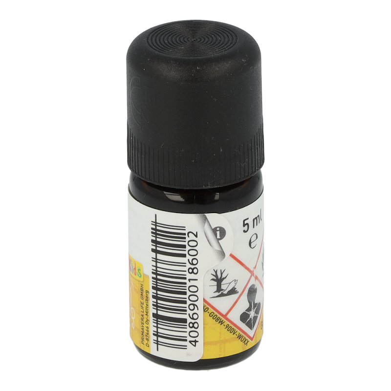 Primavera Duftmischung Leicht Lernen 5 ml
