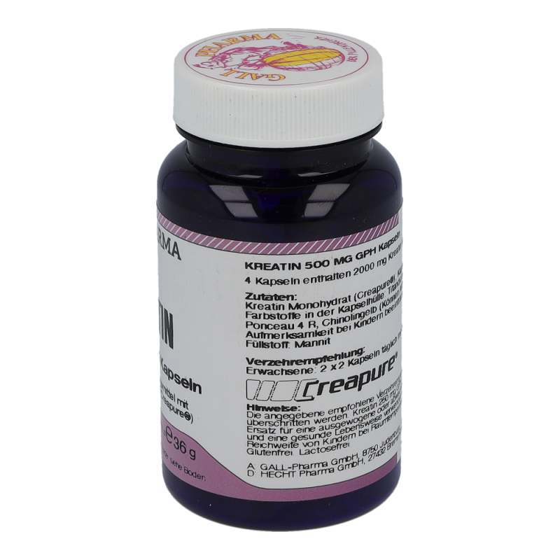 Kreatin 500mg Kapseln