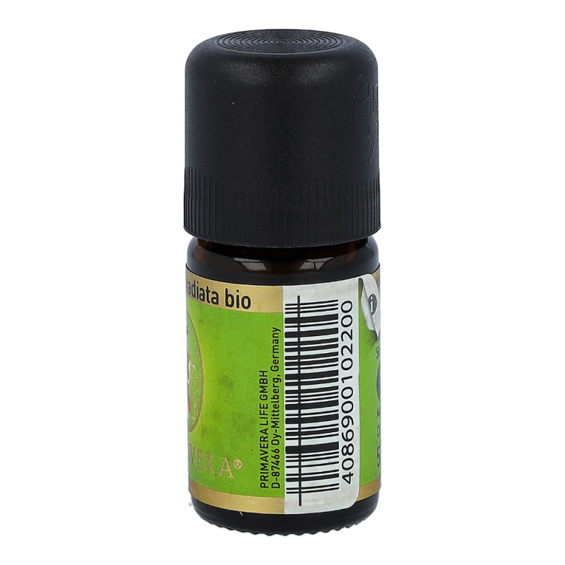 Primavera Eukalyptus radiata bio* 5ml