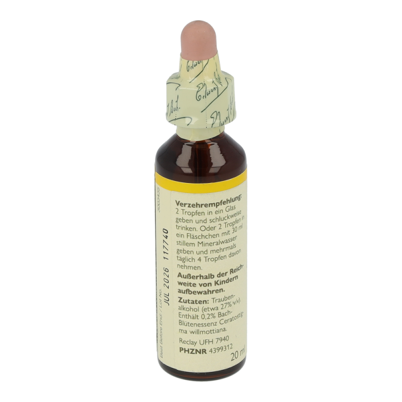 Doskar BACHBLÜTEN 05 Cerato