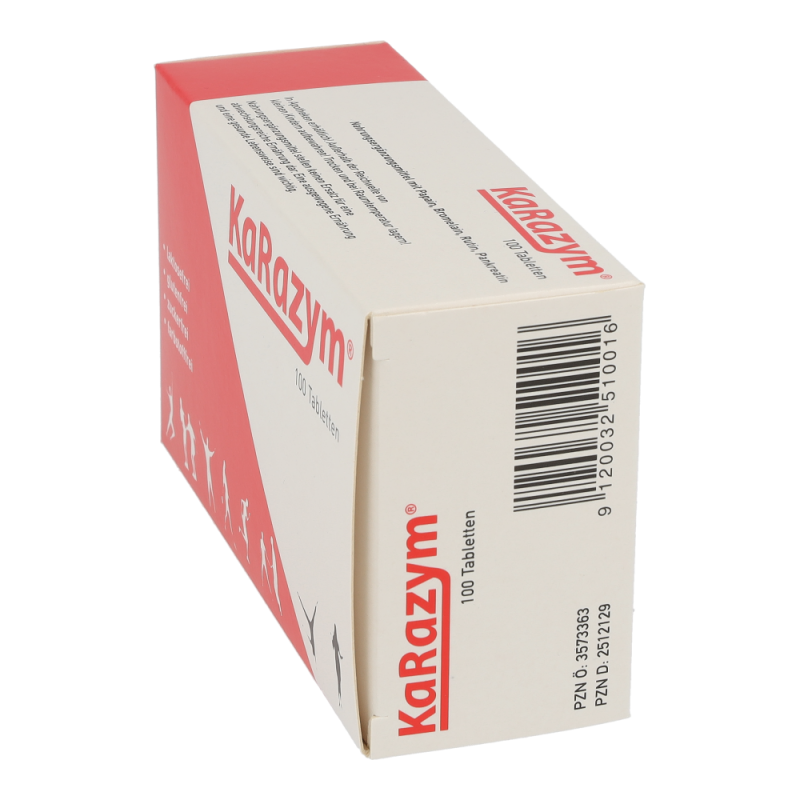 Karazym Tabletten 100 Stk.