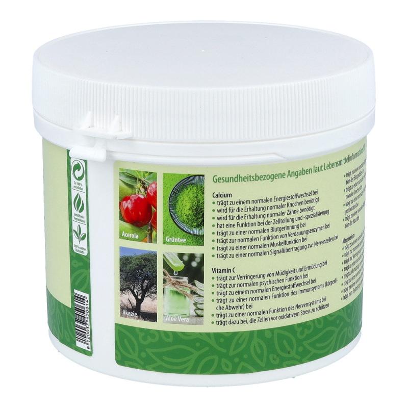 Dr. Ehrenberger Basenpulver classic 360 g