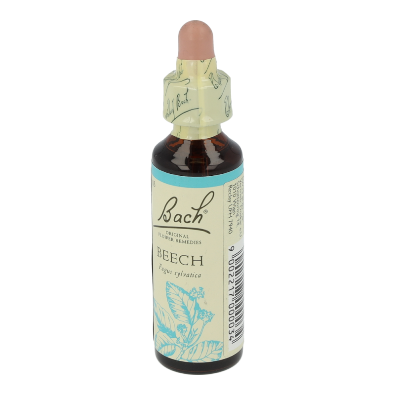 Doskar BACHBLÜTEN 03 Beech