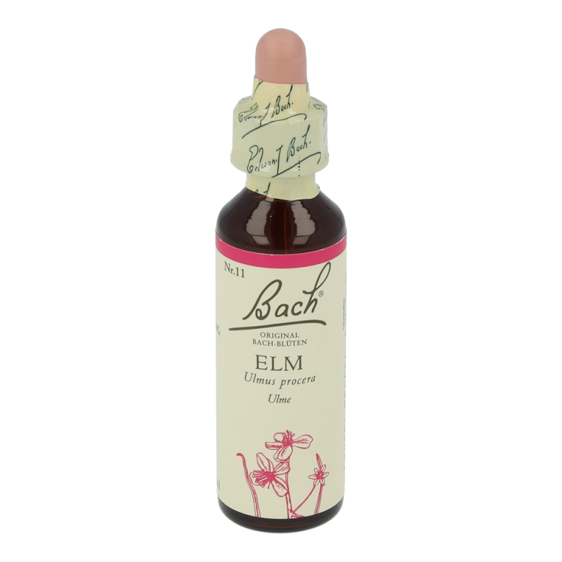 Bachblüte Nr. 11 Elm Tropfen 20 ml