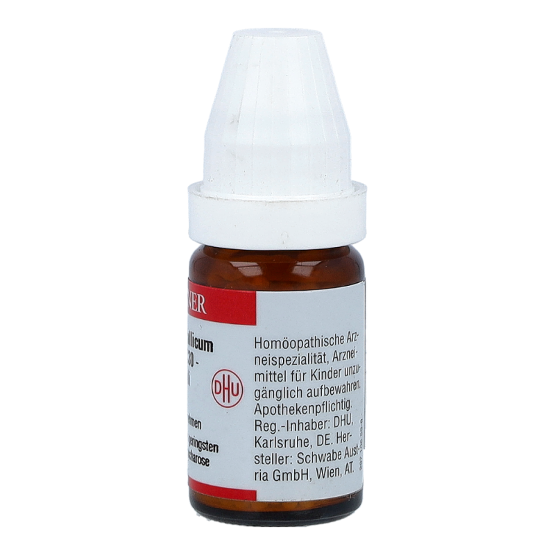 Ferrum Metallicum DHU 8 g C 30 Globuli