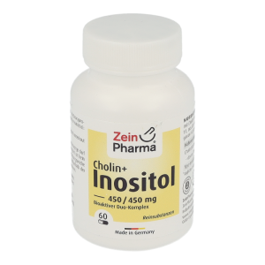 CHOLIN INOSITOL KPS450/450MG