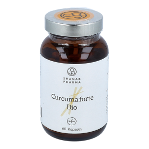 Bio Curcuma Forte + Bioperine Kapseln 60 Stk